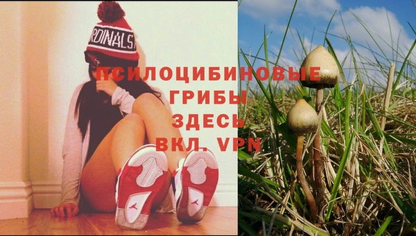 первитин Беломорск