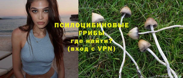 дживик Белокуриха